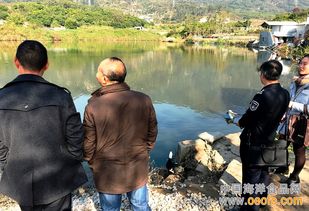 廈門(mén)集美雙嶺村養(yǎng)殖場(chǎng)迎節(jié)前“安全體檢”，筑牢水產(chǎn)品安全防線