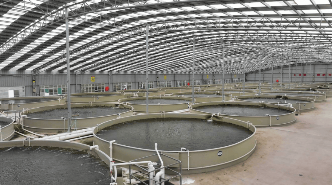 陸良水產大縣顯實力，水產品量產值雙攀升 920天的辛勤耕耘獲9.16億元碩果