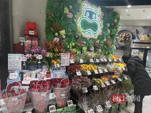 鮮花消費(fèi)日常化趨勢(shì)明顯，武漢時(shí)令春花綻放新商機(jī)