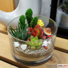 俏皮綠植送清涼，花卉禮品助你留住夏日清新